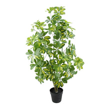 Cargar imagen en el visor de la galería, Planta Sheflera 130 cm.