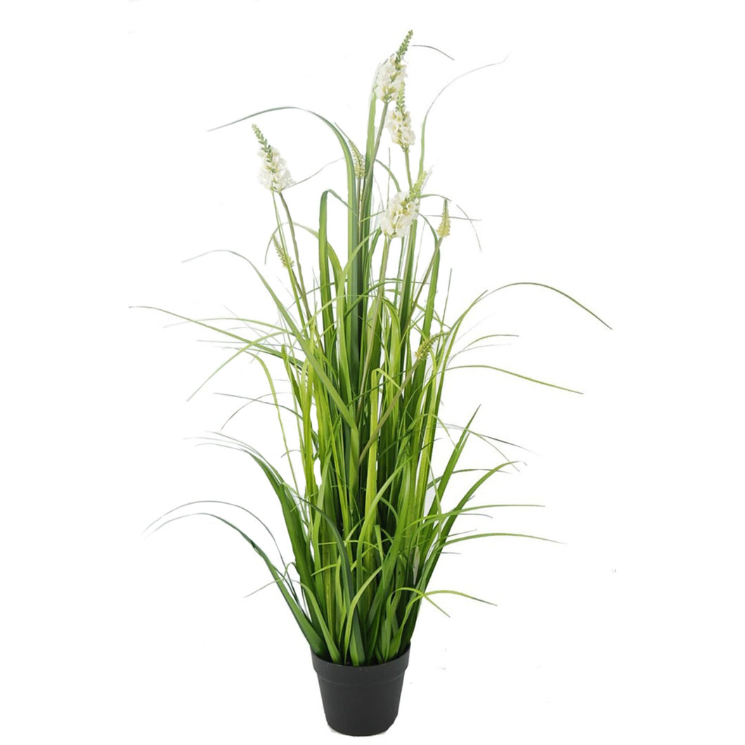 Planta Grass con Flor Crema